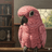 izadoesdev